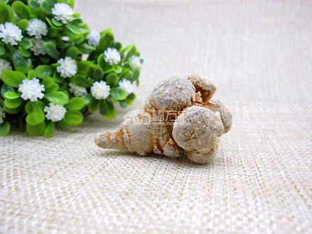 怎么買(mǎi)好的三七