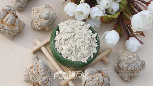吃三七粉的好處