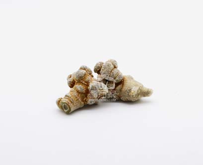 三七燉柴胡好嗎