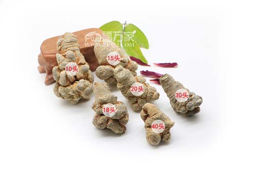 三七的頭數(shù)