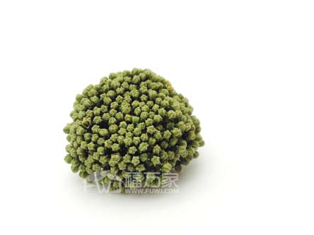選三七花合適嗎