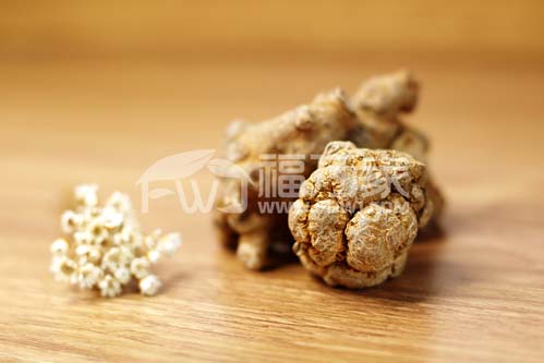三七會(huì)降價(jià)嗎