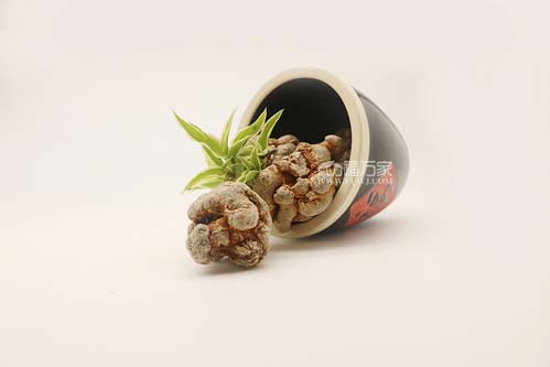 三七幾個(gè)頭性價(jià)比高