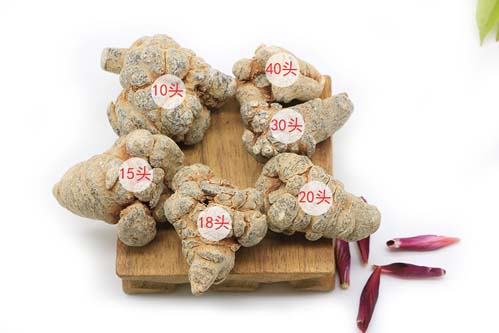 三七的不同頭數(shù)