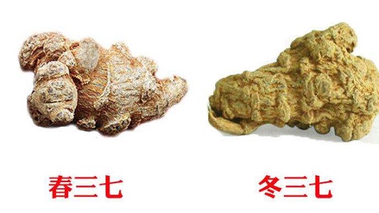 春七冬七對(duì)比