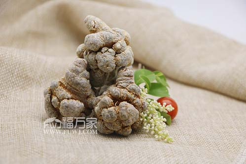 三七只有一個(gè)品種
