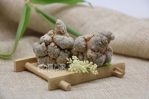 三七的品種有哪些