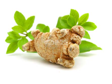 文山三七為什么好
