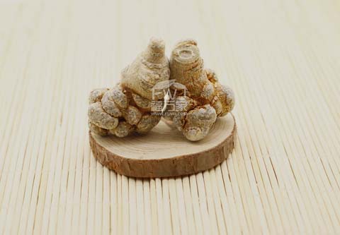 三七哪種好