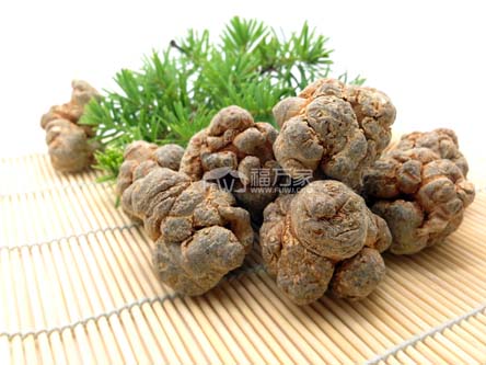 哪個(gè)地方產(chǎn)的三七好