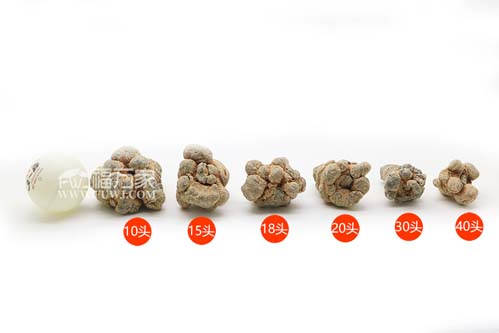 30頭三七性價(jià)比更高