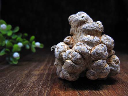 種植三七的土壤問題