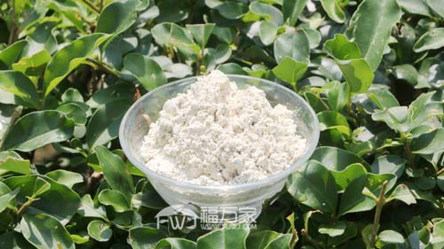 三七粉對普通人有用