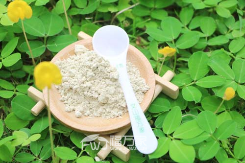 吃三七粉還要吃鈣片