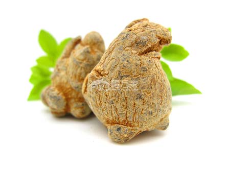 三七有公母之分嗎