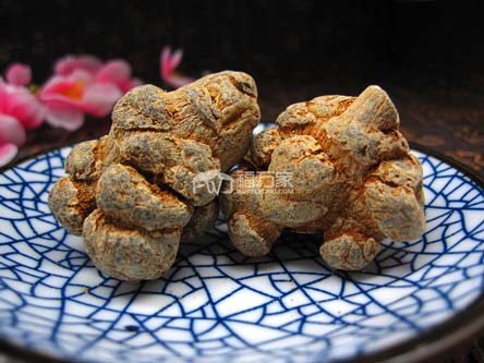 有野生三七嗎