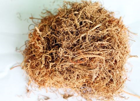 三七須根是什么樣