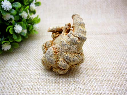 好的15頭三七