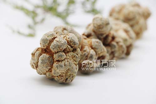 三七難種植