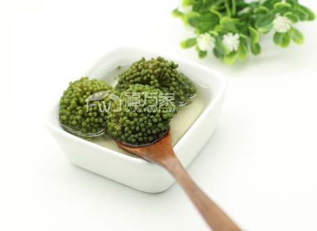 三七花價格