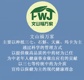 文山福萬(wàn)家描述