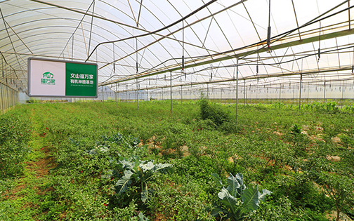 福萬家種植基地